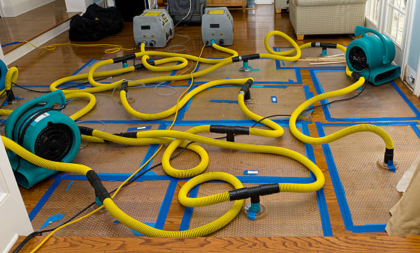 Professional Water Extraction technician working in Williston, NC